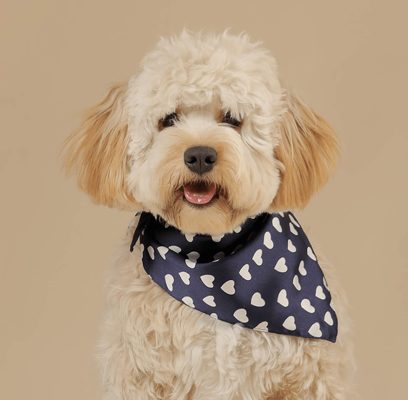 Bandanas INFINITY LOVE (2)