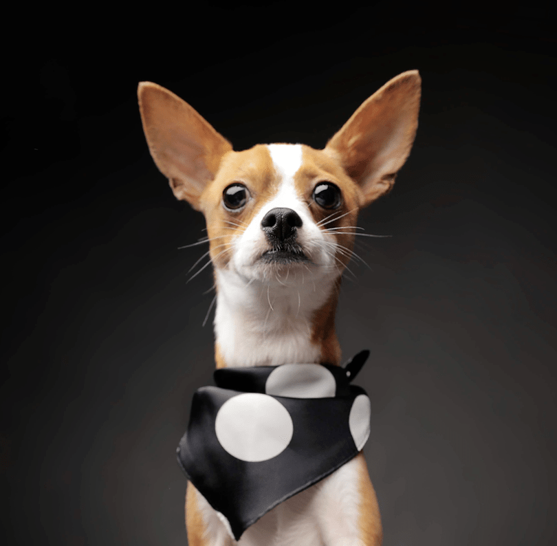 Bandanas INFINITY LOVE (3)