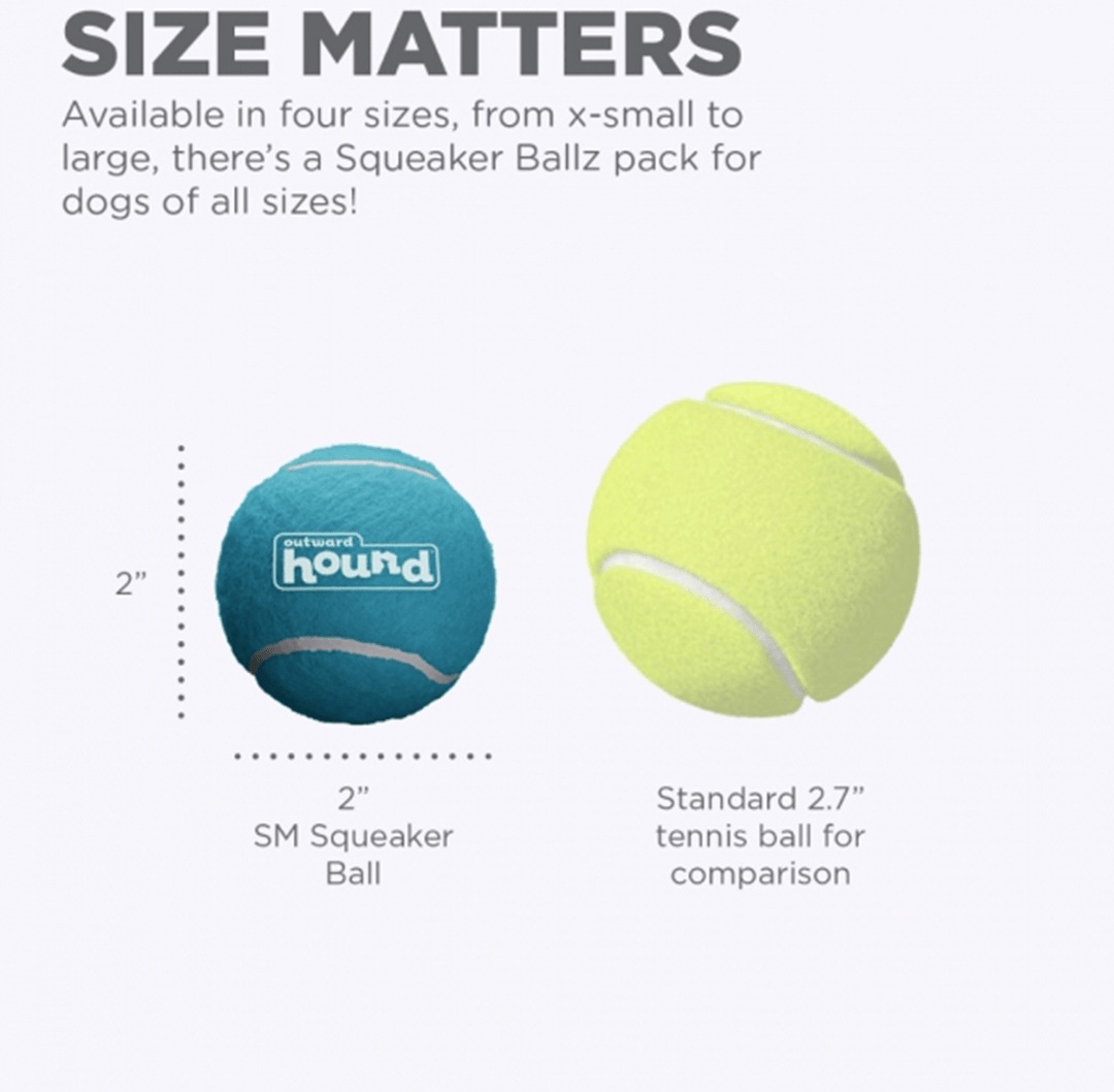 Squeaker ballz4